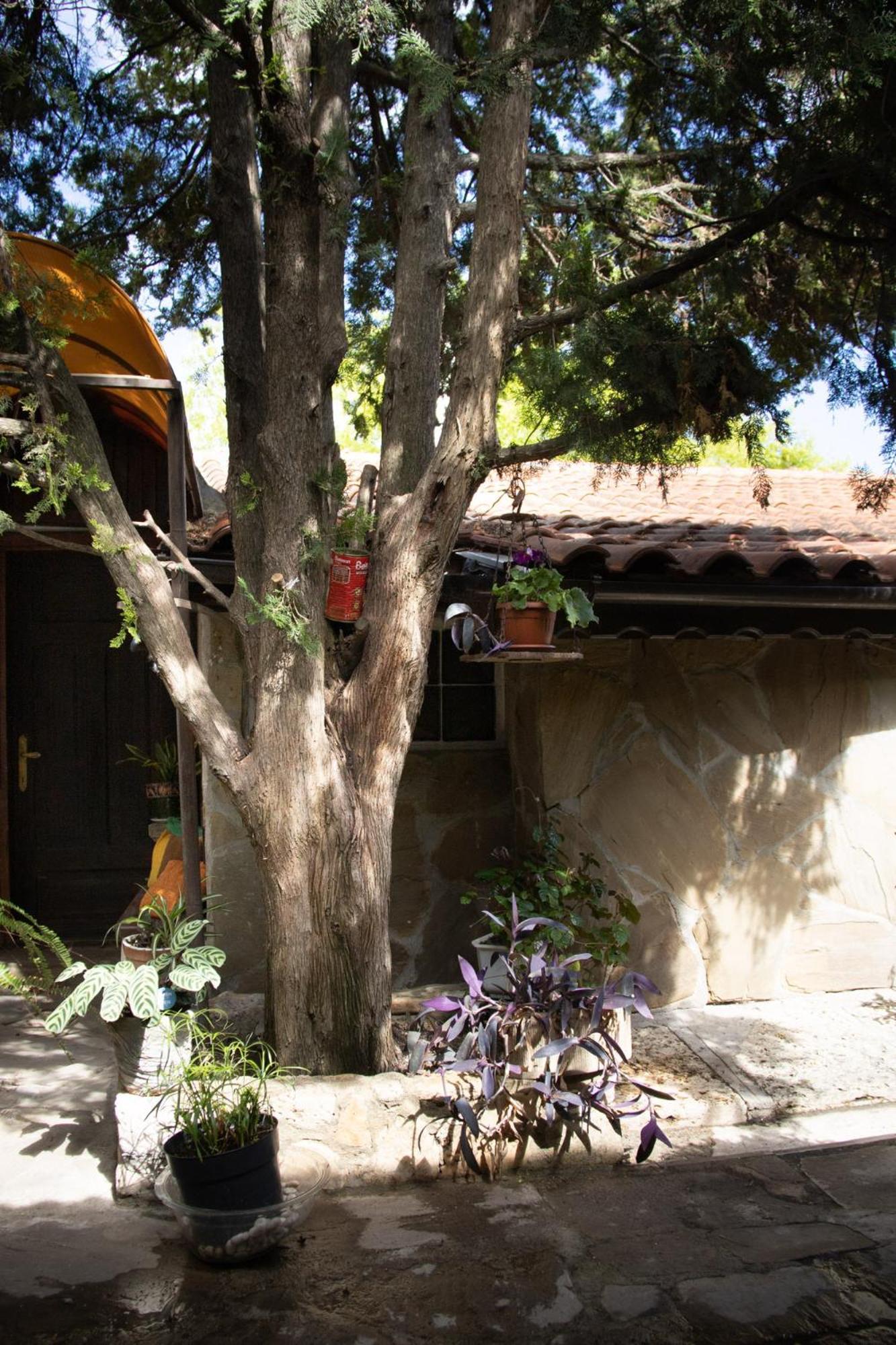 בלצ'יק Старата Баkалия The Old Grocery, Guest Rooms מראה חיצוני תמונה